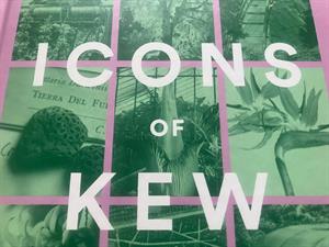 kew